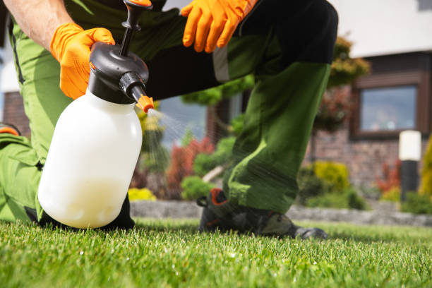 Best Pest Prevention Services  in St Clair, PA