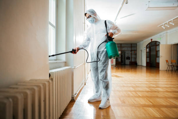 Reliable St Clair, PA Pest Control Solutions